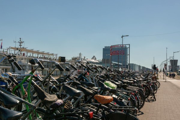 Expédition au Royaume de la Céramique : Histoires Captivantes de l'Héritage Culturel