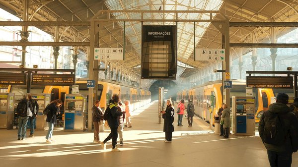 Éclairage sur un Activiste Écologique Incontournable : Une Histoire Inspirante