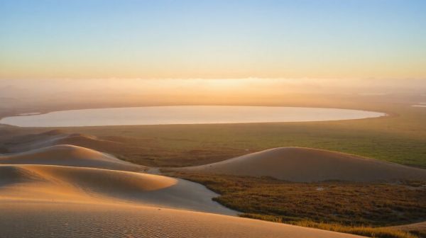 Top moyens d'analyser la biodiversité des réserves landes